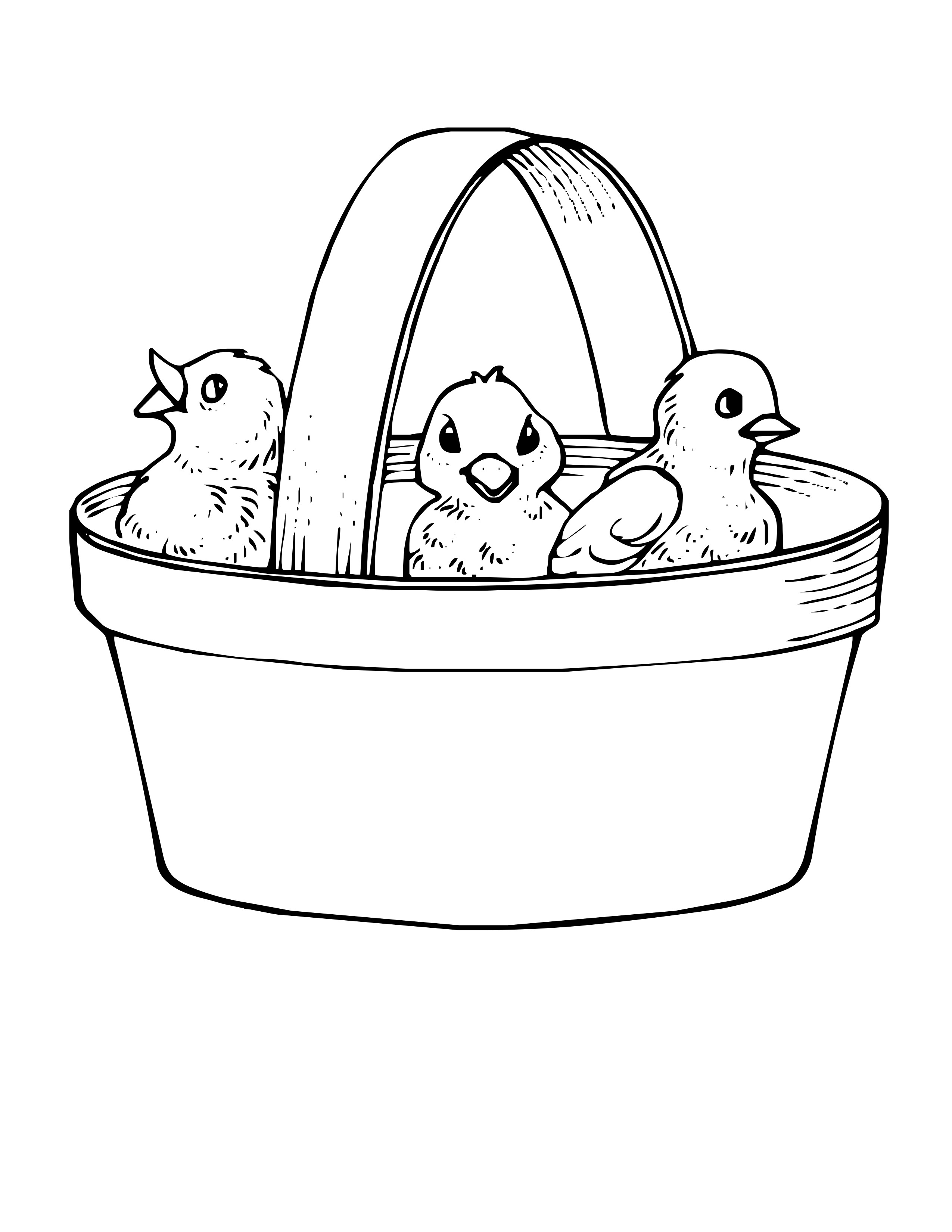 Bird Coloring Pages