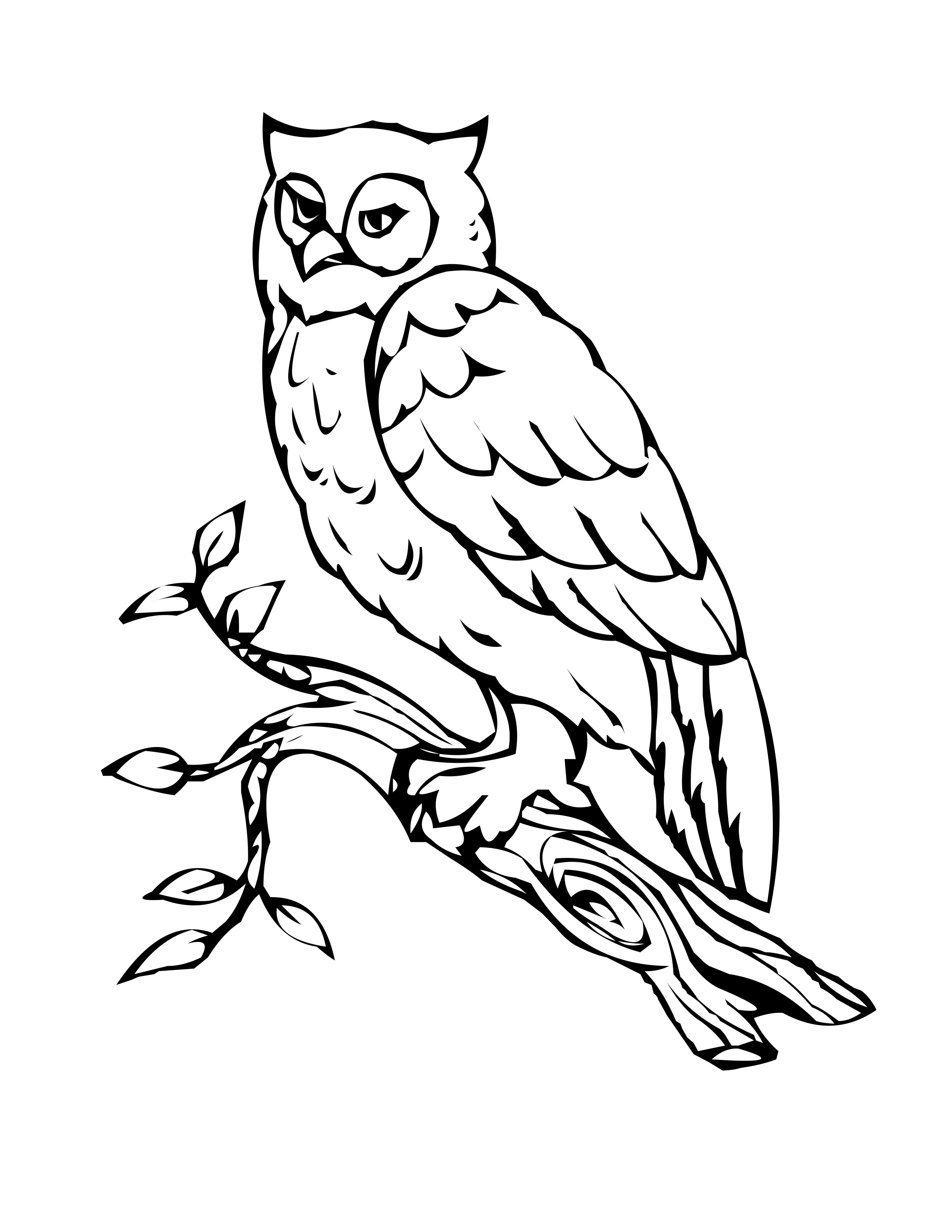 Bird Coloring Pages